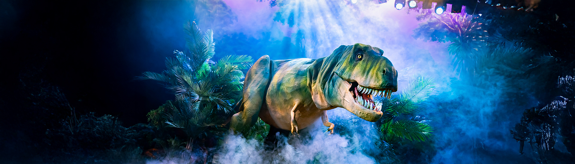Dinosaurs Live Feb 2026 Hero